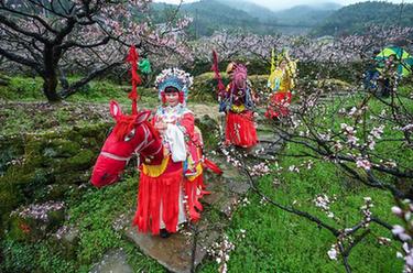 美麗山鄉(xiāng)千畝山花迎客來