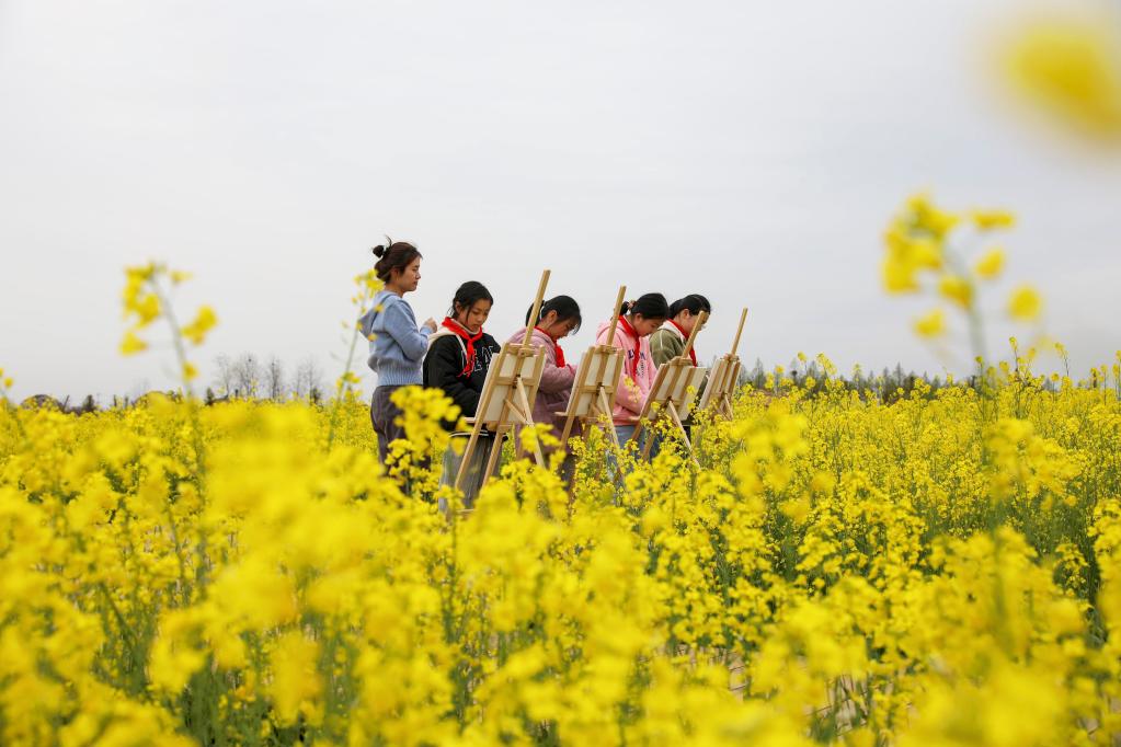 油菜花開(kāi)鄉(xiāng)村美