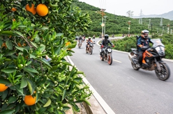 湖北秭歸：特色旅游助力鄉村振興