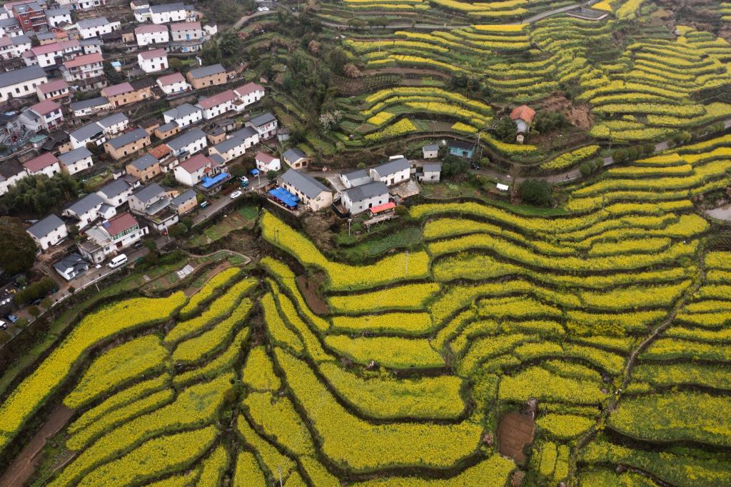 “千萬工程”推動(dòng)浙江山鄉(xiāng)巨變