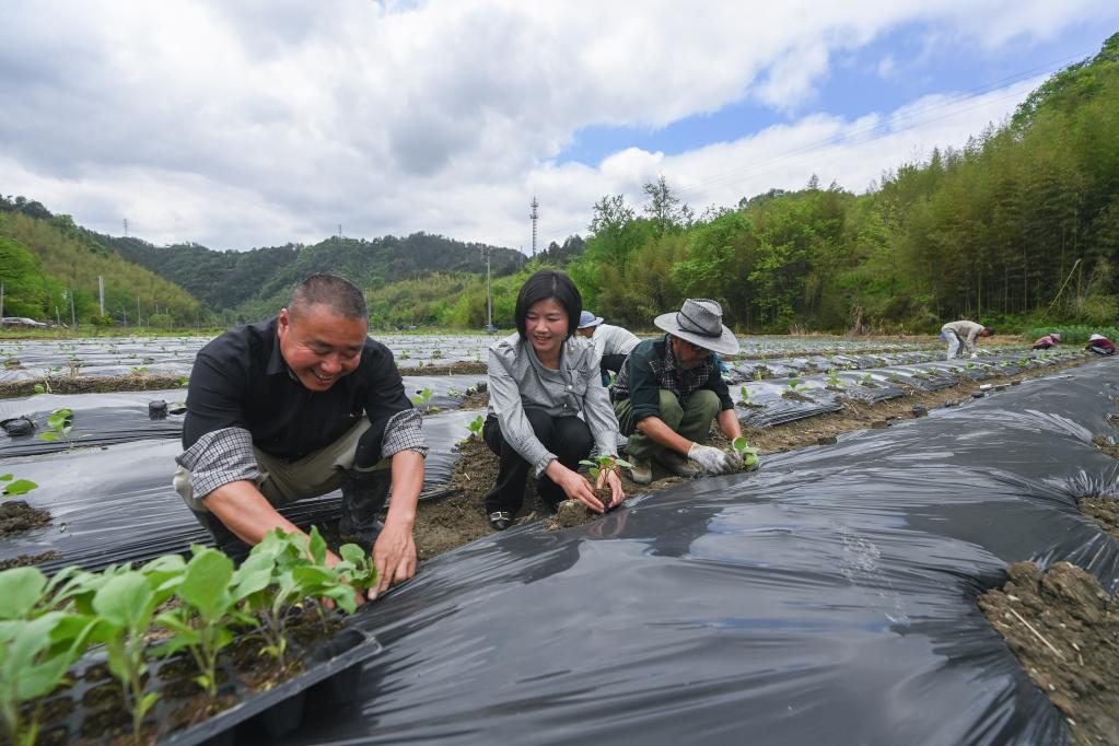 “聚一起 才更牛” 返鄉創業人才助農增收