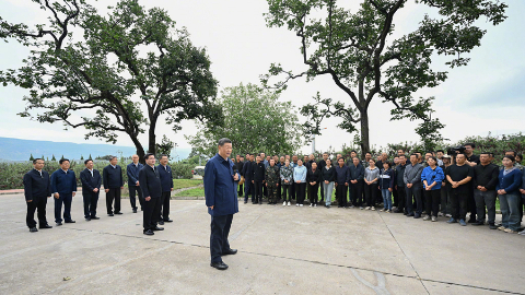 習近平：鄉村振興要靠產業，各地要各展其長