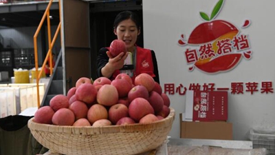 小蘋果創出產業大天地——陜西洛川蘋果產業集群見聞